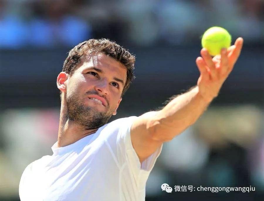 执行获得了 执行获得了