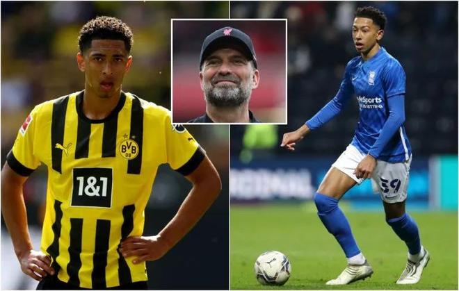 绿龙王朝 绿龙王朝