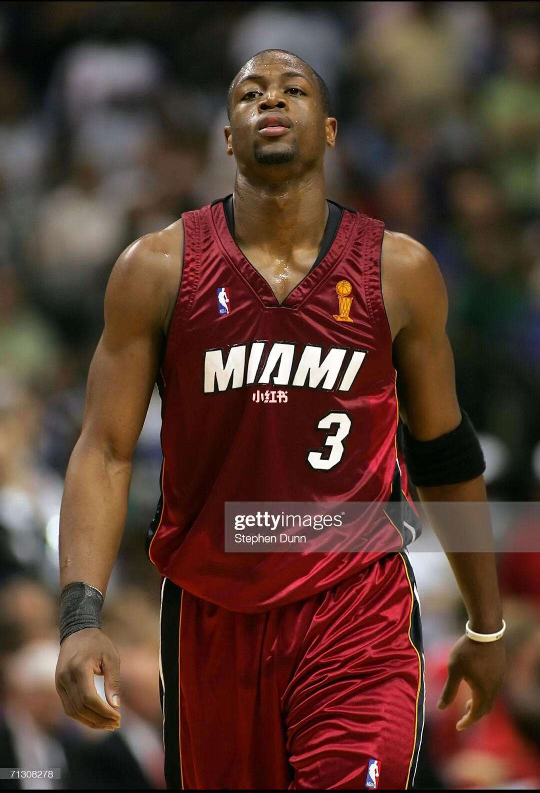 家庭友好区 家庭友好区