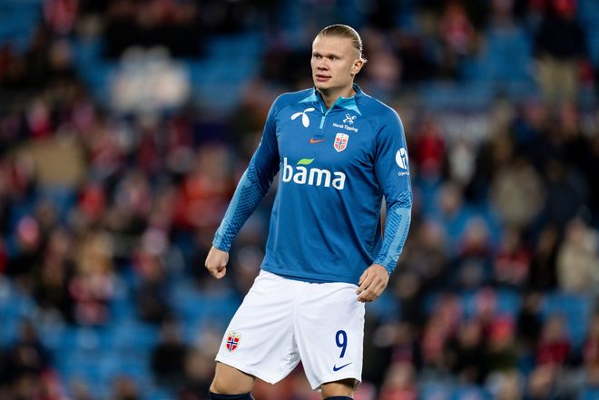 冷静答案 冷静答案